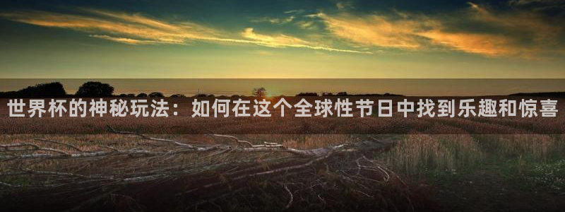 2026世界杯预选赛:世界杯的神秘玩法:如何在这个全球性节日中找到乐趣和惊喜