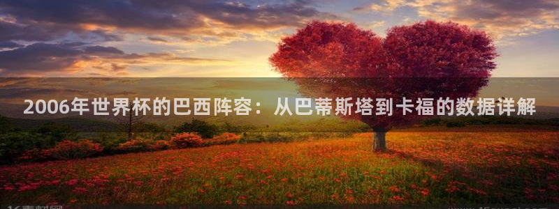 世界杯赛程2026:2006年世界杯的巴西阵容:从巴蒂斯塔到卡福的数据详解