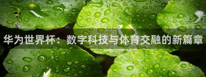 世界杯对阵图2026:华为世界杯:数字科技与体育交融的新篇章