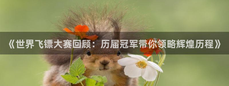 2026年世界杯赛程表时间:《世界飞镖大赛回顾:历届冠军带你领略辉煌历程》