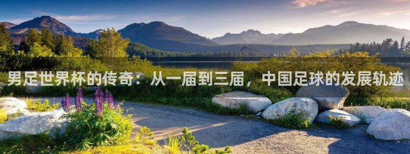 世界杯预选赛欧洲赛区积分榜:男足世界杯的传奇:从一届到三届,中国足球的发展轨迹