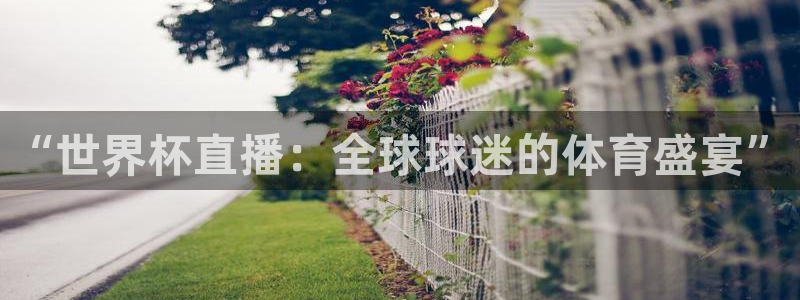 世界杯预选赛欧洲赛区赛程:“世界杯直播:全球球迷的体育盛宴”