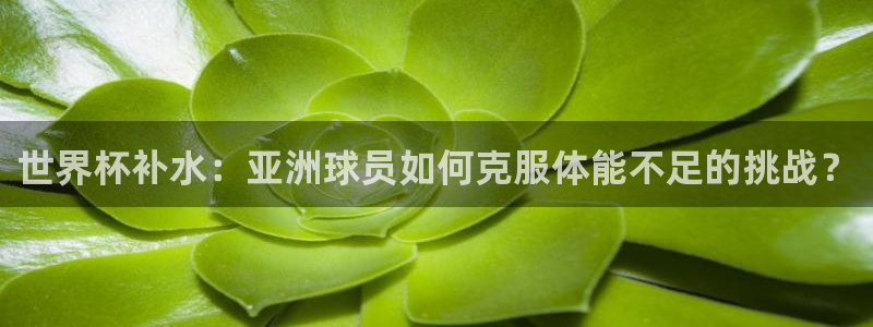 2026世界杯赛:世界杯补水:亚洲球员如何克服体能不足的挑战?