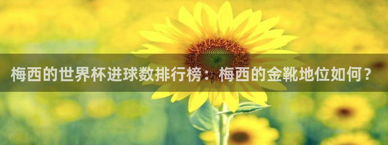 2026足球世界杯赛程时间表:梅西的世界杯进球数排行榜:梅西的金靴地位如何?