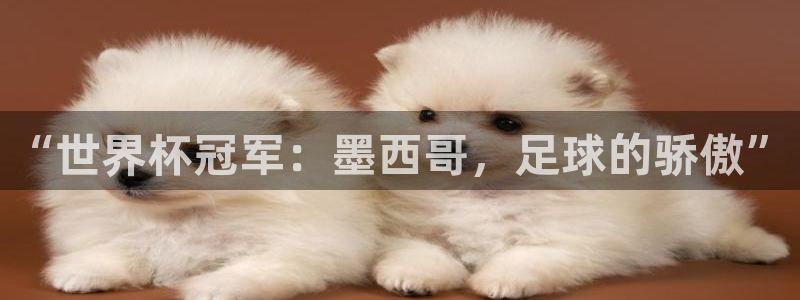 足球世界杯时间:“世界杯冠军:墨西哥,足球的骄傲”