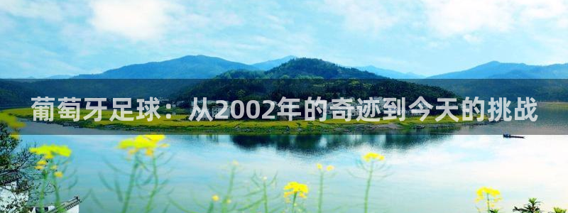 世界杯官网:葡萄牙足球:从2002年的奇迹到今天的挑战