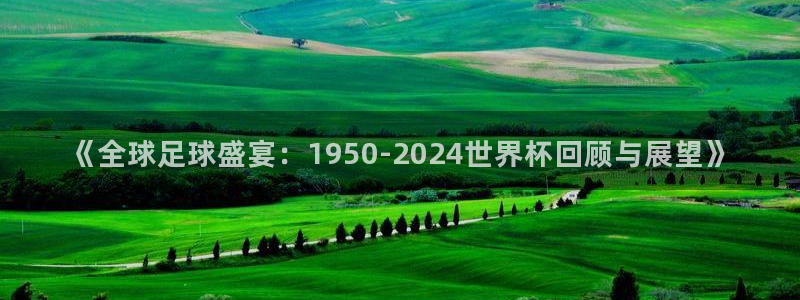 世界杯赛程表:《全球足球盛宴:1950-2024世界杯回顾与展望》