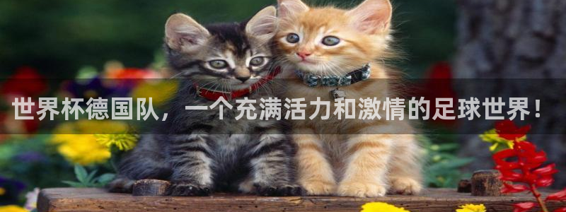 今天所有足球赛程表:世界杯德国队,一个充满活力和激情的足球世界!