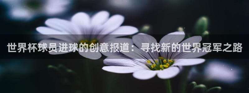 2026世界杯买球:世界杯球员进球的创意报道:寻找新的世界冠军之路