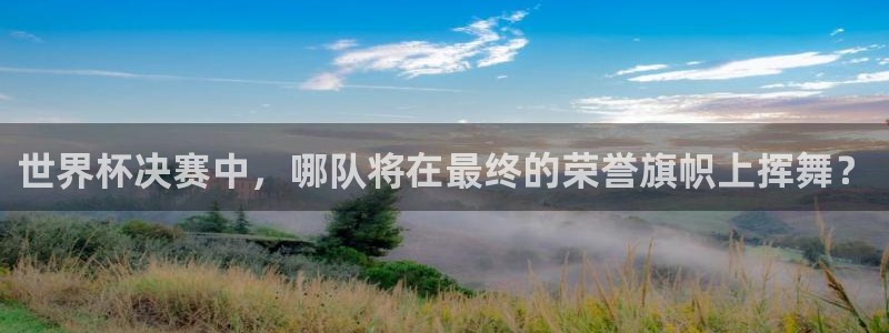 预选赛世界杯:世界杯决赛中,哪队将在最终的荣誉旗帜上挥舞?