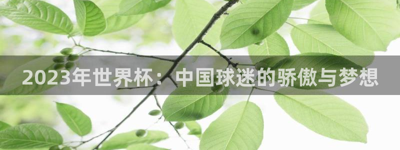2026世界杯亚洲区预选赛:2023年世界杯:中国球迷的骄傲与梦想