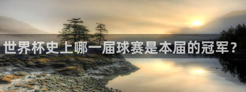 世界杯今年:世界杯史上哪一届球赛是本届的冠军?